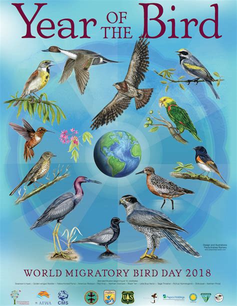 World Migratory Bird Day 2018 Shasta Birding Society