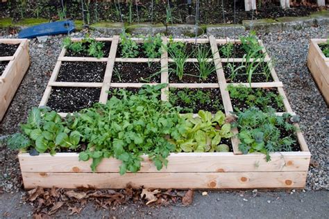 Raised Garden Beds How To Build And Install Them