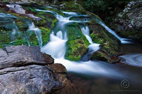Longer hikes to thunderhead mountain and rocky top (made famous by the popular song) also begin in the cove. Cascade near Cades Cove by Ricky Smith | Great smoky ...