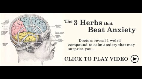 The 3 Herbs That Beat Anxiety Youtube