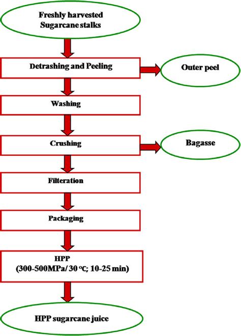 Flow Chart For The Preparation Of High Pressure Processed Sugarcane