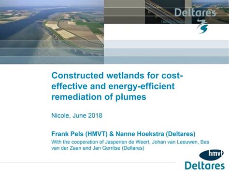 Constructed Wetlands Effectively Remediate Contaminated Plumes Ppt