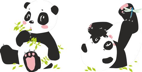 Panda Pandas Bear · Free Image On Pixabay