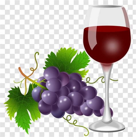 Red Wine Grape Clip Art Cabernet Sauvignon Vine Wall Transparent Png