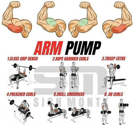 Pin By Luis Montanez On Healthy Tips Best Chest Workout Arm Workout