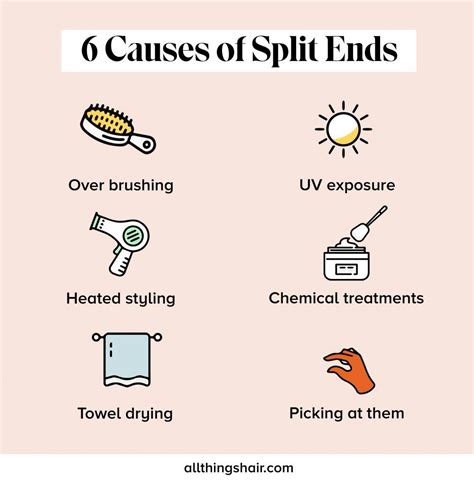 How To Get Rid Of Split Ends And Prevent Future Damage All Things Hair Us