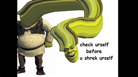 Shrek Yourself Shrekt Know Your Meme