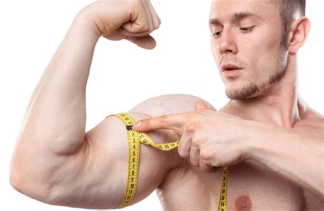 Hypertrophy Vs Hyperplasia What Are The Key Differences