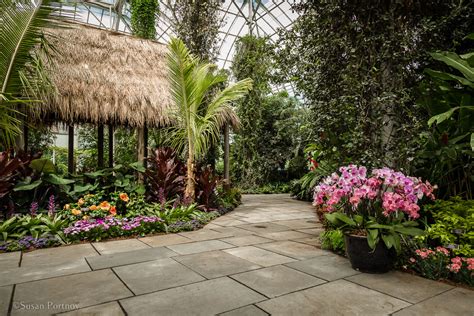Check spelling or type a new query. A Helpful Guide to the New York Botanical Garden in the Bronx