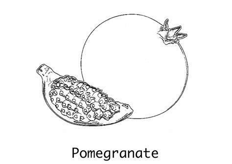 Free To Use Pomegranate Coloring Page Printable For At School Or At