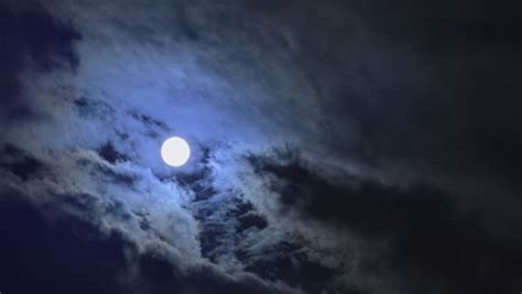 Full Moon In Moonlight Night Stock Footage Video 100