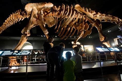 Museum Of Natural History Unveils Worlds Largest Dinosaur