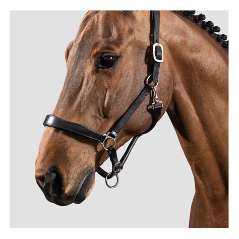 Leather Halter Equiline America Horses Horse Blankets Horse