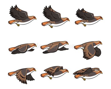 Top 109 2d Animation Bird Flying