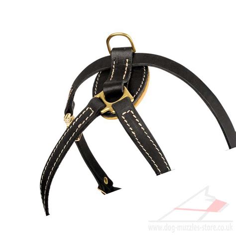 Red dingo designer snake eyes dog harness. French Bulldog Harness Leather Padded | French Bulldog ...