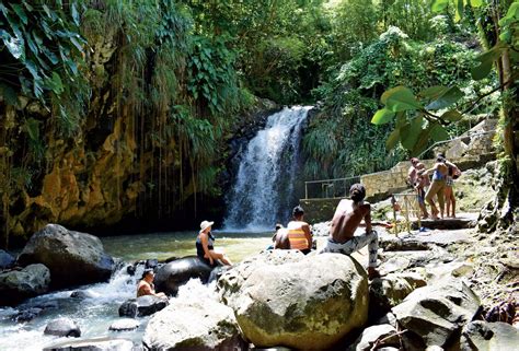 Exploring Caribbean Waterfalls Hidden Gems In Grenada All At Sea