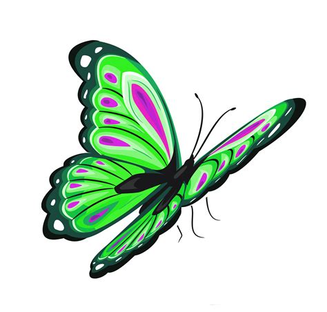 Butterfly Clip art - Green and Pink Butterfly PNG Clipart ...