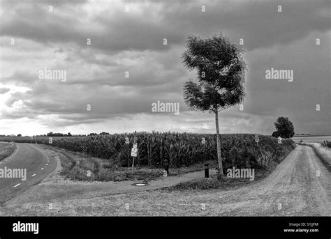 The Road Less Travelled Stock Photo Alamy