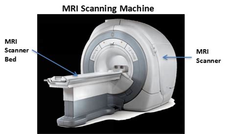 Discounts in MRI Scan Cost [over 30%] Across India ...