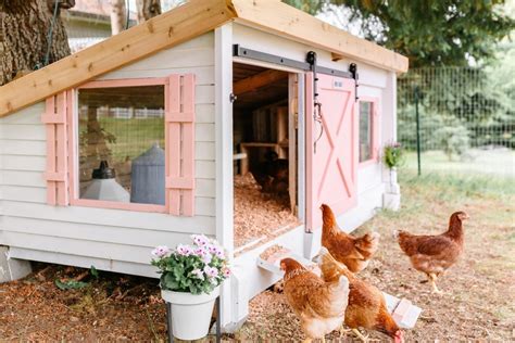 homemade backyard chicken coop