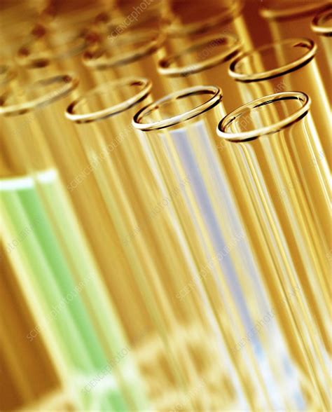 Test Tubes Stock Image F0012900 Science Photo Library