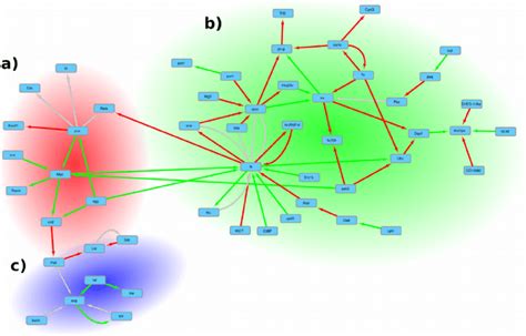 Network Of Genetic Interactions Between The Genes That Were Most Download Scientific Diagram