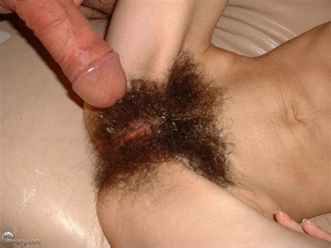 Photo Hairy Pussies Page 311 Lpsg