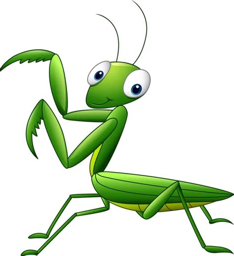 Cute Grasshopper Cartoon — Stock Vector © Tigatelu 27374341