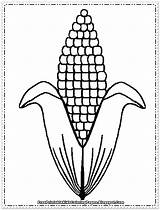Corn Coloring Clipart Printable Cob Cartoon Clip Library Banana Apple sketch template