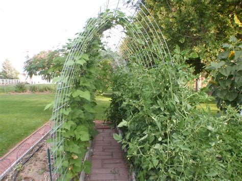 With kimberly combs, lucas heppe, brian m. Maintaining August Garden Gusto