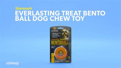 Starmark Everlasting Treat Bento Ball Tough Dog Chew Toy Large