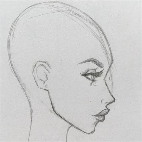 Drawing A Profile Face Ray Draw