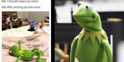 Muppets Funniest Kermit The Frog Memes Hot Sex Picture