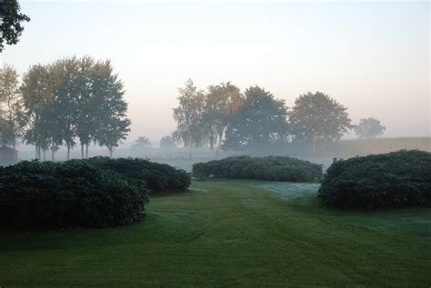 Rhodies should be pruned immediately after flowering. Veld met rhododendendrons
