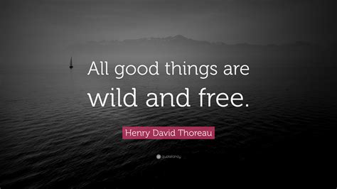 So what we get drunk so what we smoke weed we'r. Henry David Thoreau Quote: "All good things are wild and free." (22 wallpapers) - Quotefancy