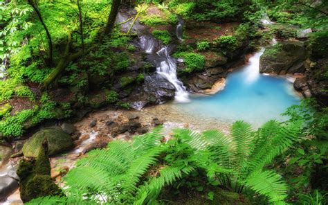 Sukkansawa Tochigi Japan Blue Stream Pond Green Nature Forest Trees Fern Rock Landscape