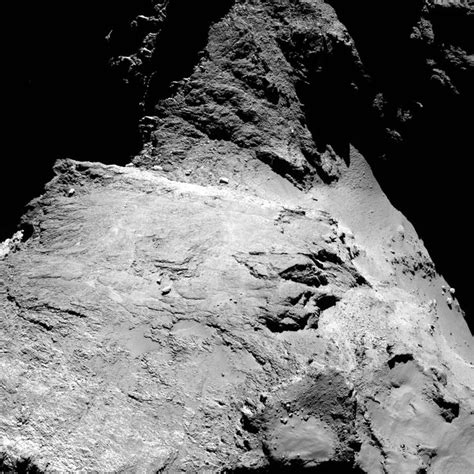 Another One Of The Over 5000 Amazing Previously Unpublished Rosetta