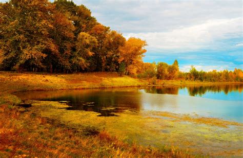 Free Photo Autumn Lake Reflection Outdoors Outside Free Download