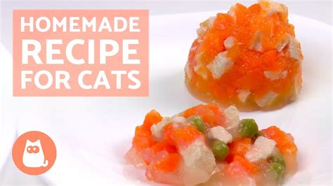 Cats are picky eaters, there's no going around it. Seasonal Homemade Recipe for Cats : Homemade Chicken Cat ...