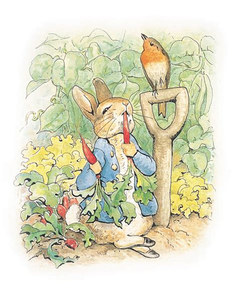 Beatrix Potter The Tale Of Peter Rabbit Victoria And Albert Museum