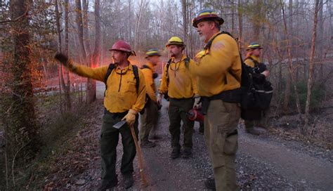 Firefighters Battle 130 Acre Fire Near Low Gap In Surry County