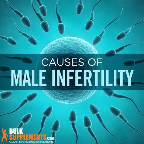 Male Infertility Signs Causes Treatment By James Denlinger