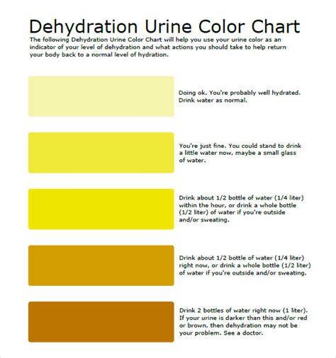 Good health usually means a normal urine color. FREE 10+ Sample Urine Color Chart Templates in PDF | MS Word
