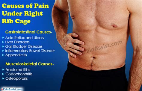 Anatomy Under The Right Rib 14 Common Causes Of Pain Under Right Rib