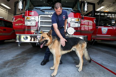 Utah Firefighter Adopts Dog He Found Near California Wildfire