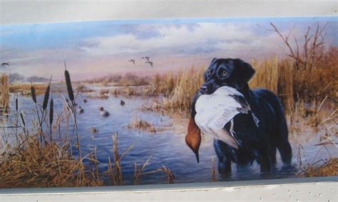 Duck Hunting Backgrounds Wallpaper Cave