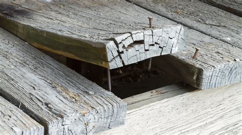 Tips On How To Identify Fix And Prevent Wood Rot