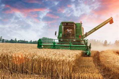 Wheat growers group seeks strong crop insurance in final farm bill ...