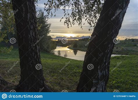 Golden Sunset And Clouds Through Birch Trees Stock Image Image Of