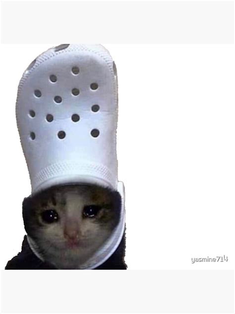 Crying Cat With A Croc On Its Head Sticker For Sale By Yasmine714